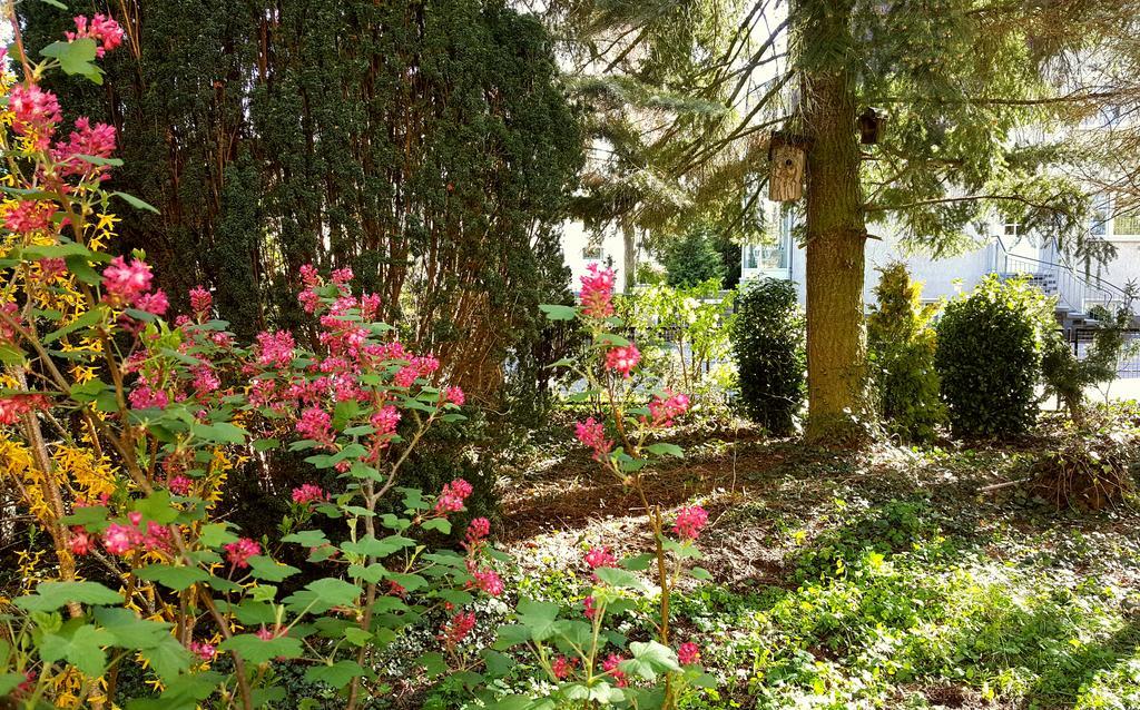 Ferienhaus Sanssouci Stahnsdorf Dış mekan fotoğraf